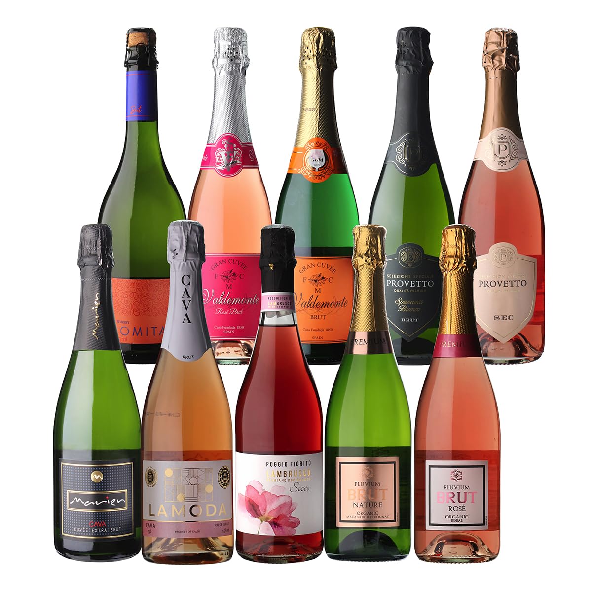 Amazon.co.jp: エブリデー泡10本セット コスパ最強 デイリー飲み